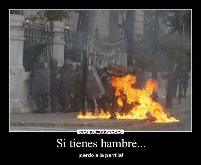 carteles asdfgh gusta estudiar tener resaca desmotivaciones