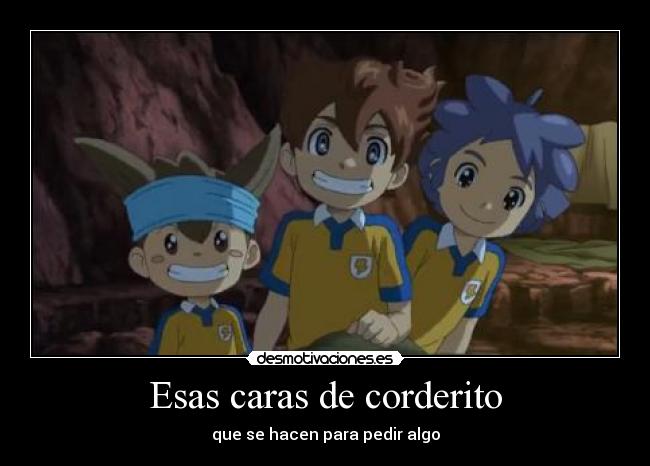 Esas caras de corderito -