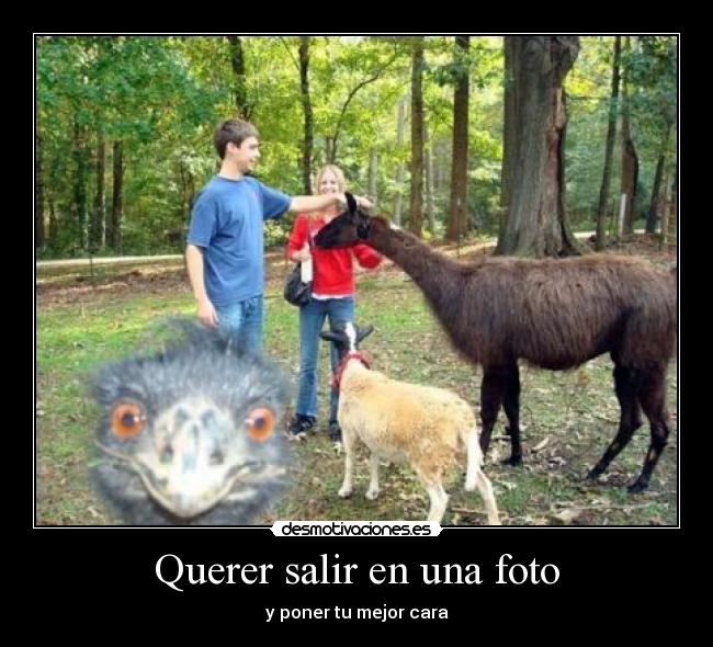 Querer salir en una foto -