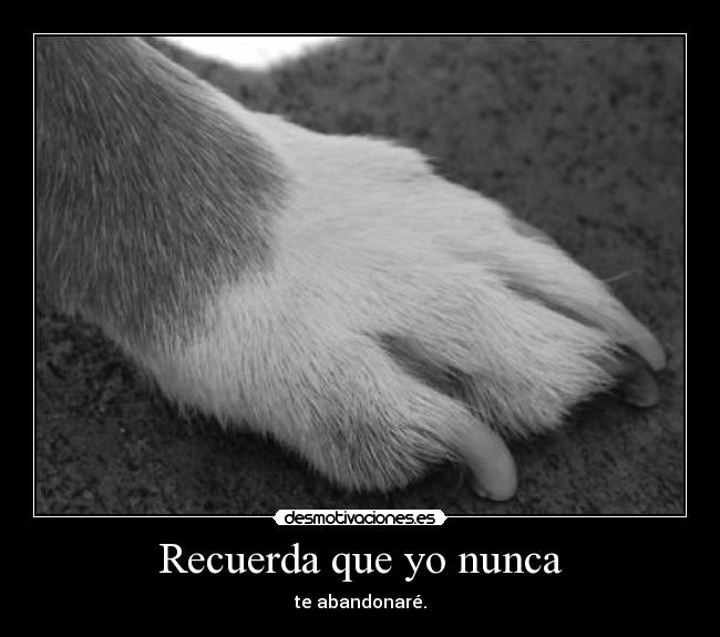Recuerda que yo nunca -