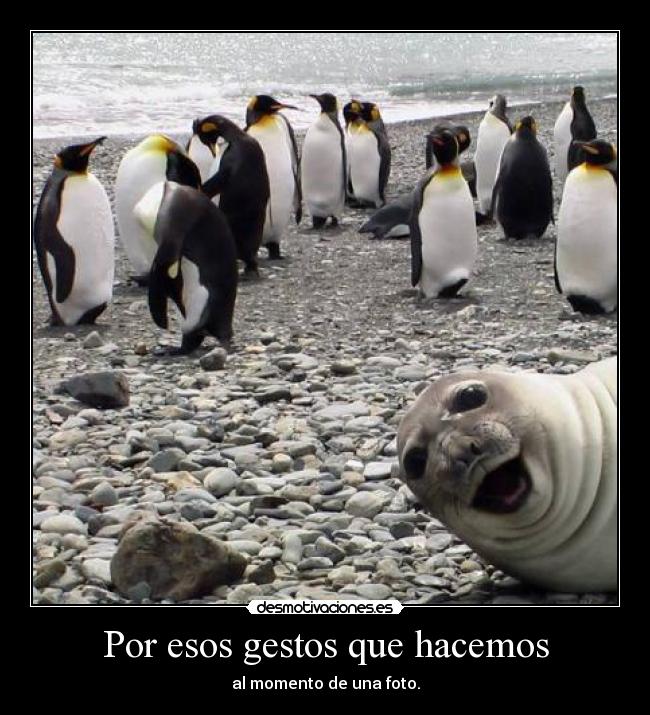 Por esos gestos que hacemos -