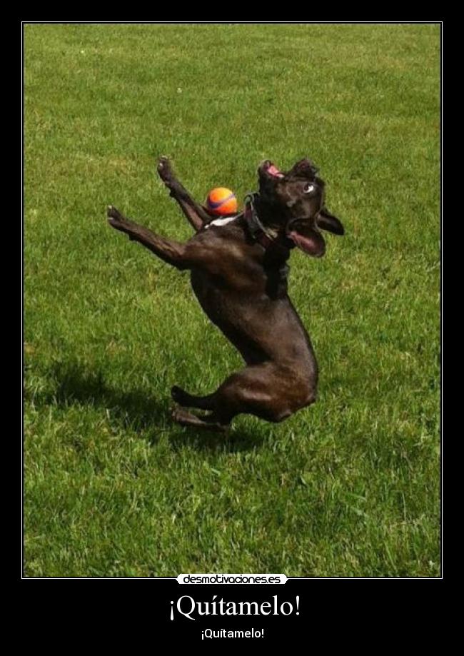 ¡Quítamelo! - ¡Quítamelo!