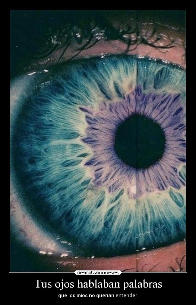 Tus ojos hablaban palabras - que los míos no querían entender.