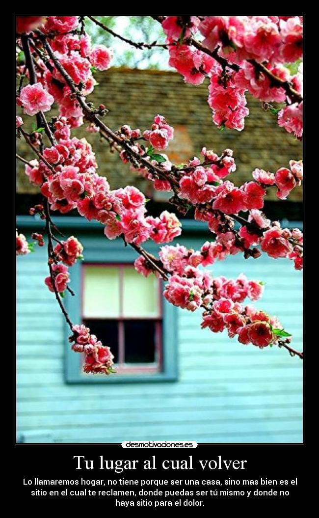 Tu lugar al cual volver -
