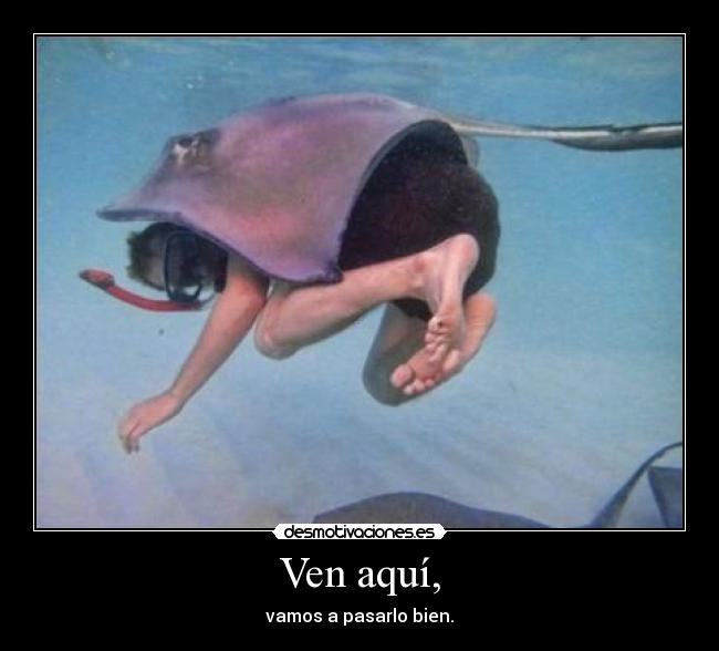 Ven aquí, - vamos a pasarlo bien.