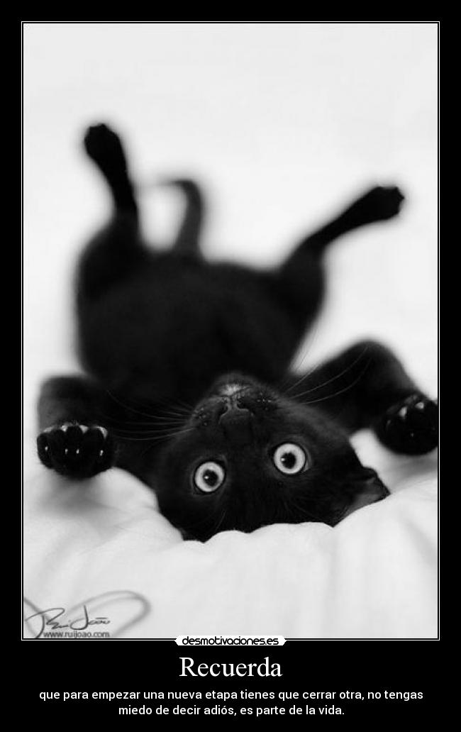 carteles verdadess desmotivaciones