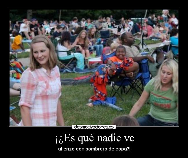 ¡¿Es qué nadie ve - al erizo con sombrero de copa?!