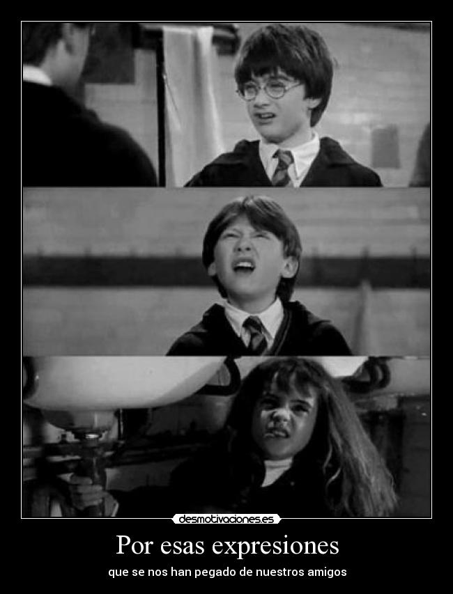 carteles hermione ronweasley harrypotter expresiones amigos desmotivaciones