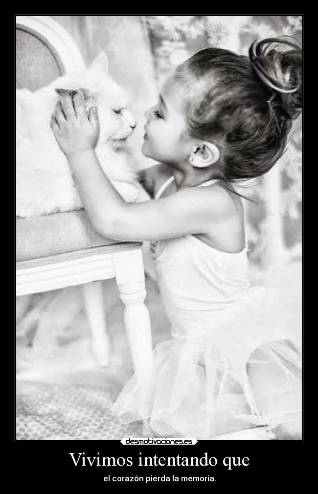 Vivimos intentando que -