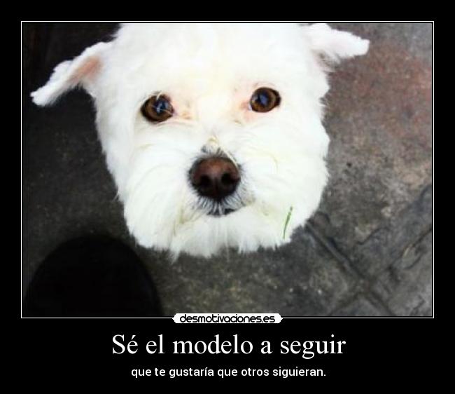 Sé el modelo a seguir - 