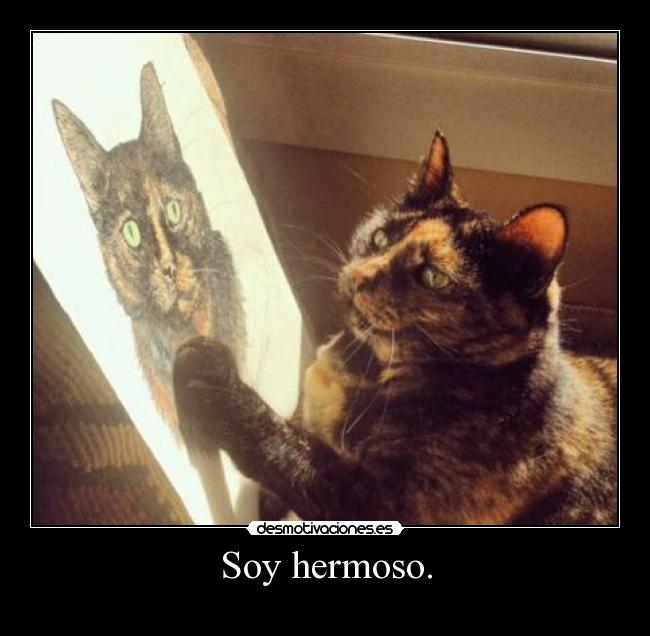 Soy hermoso. - 