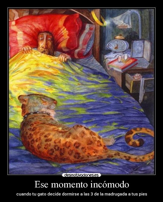Ese momento incómodo - cuando tu gato decide dormirse a las 3 de la madrugada a tus pies