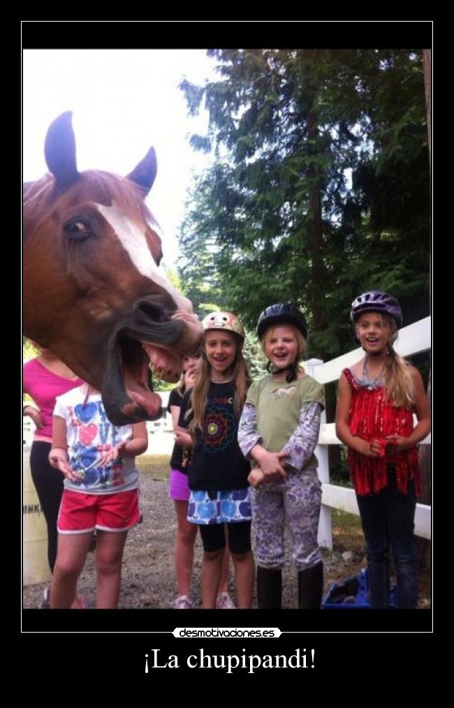 ¡La chupipandi! - 