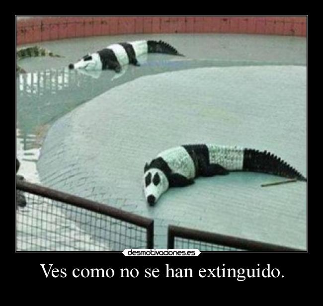 Ves como no se han extinguido. - 