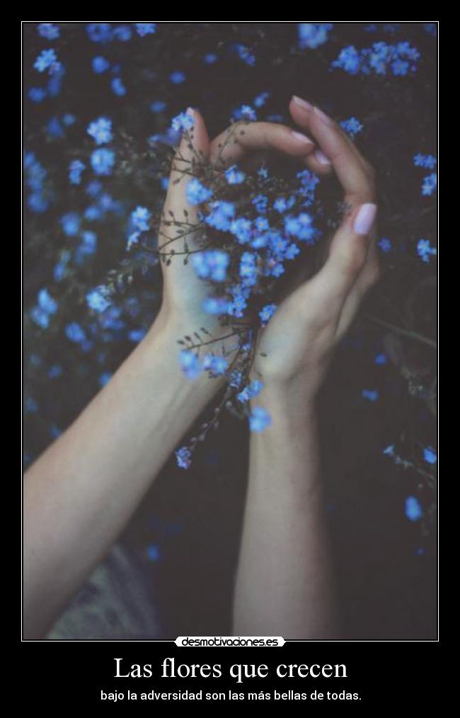 Las flores que crecen - bajo la adversidad son las más bellas de todas.