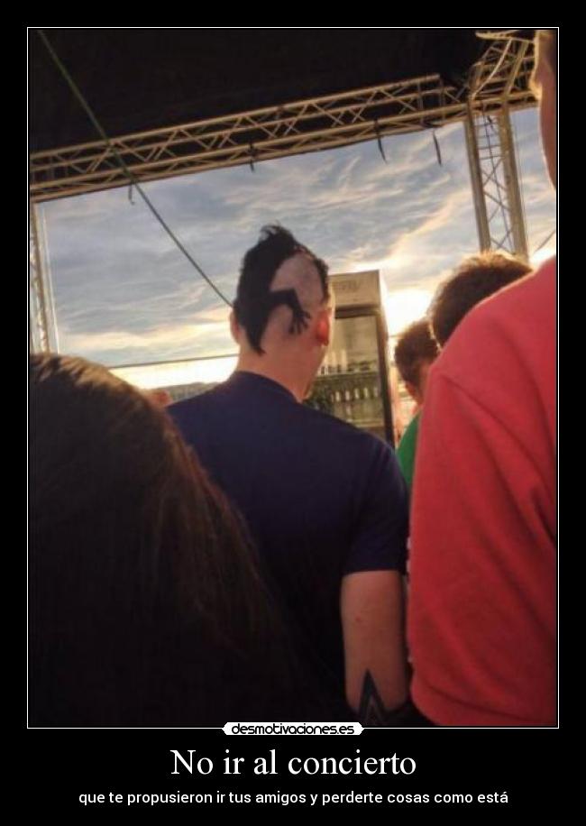 No ir al concierto - que te propusieron ir tus amigos y perderte cosas como está