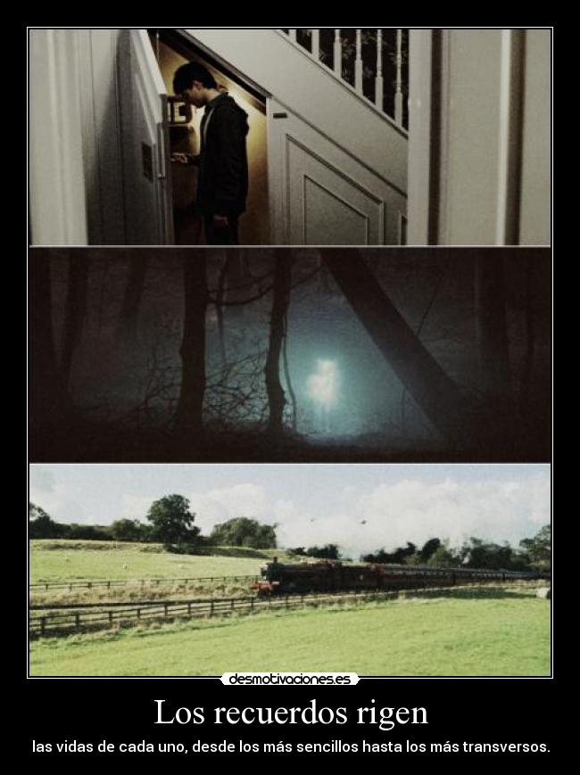 Los recuerdos rigen - las vidas de cada uno, desde los más sencillos hasta los más transversos.