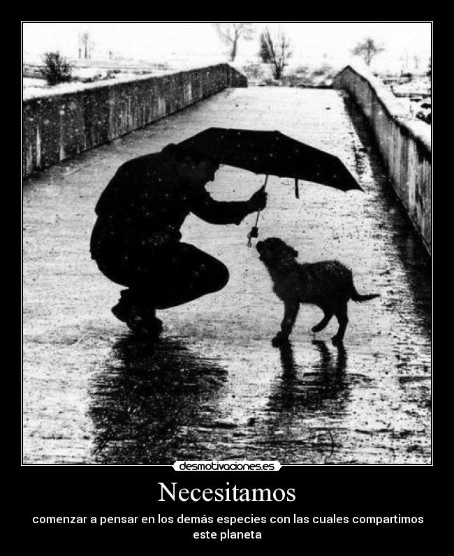 carteles vive desmotivaciones