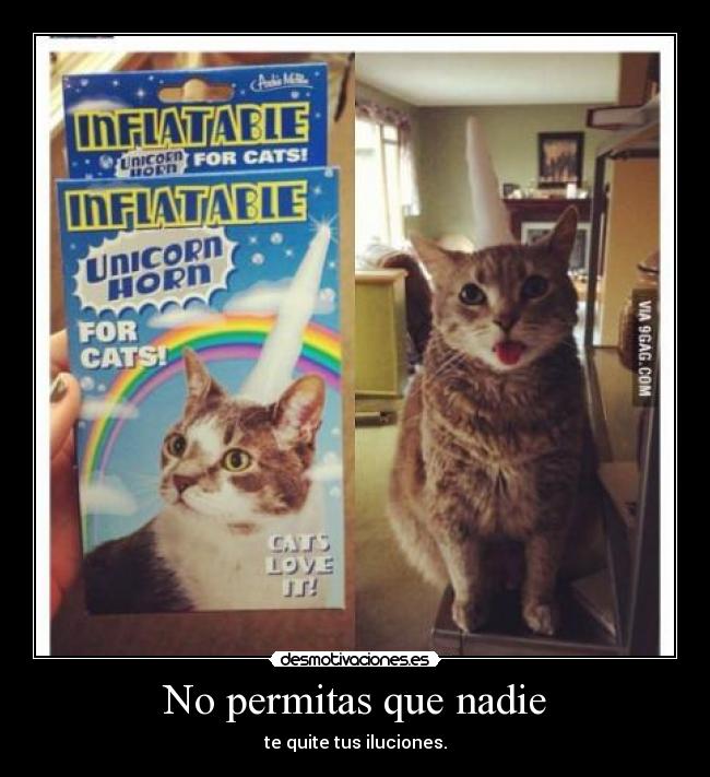 No permitas que nadie - 