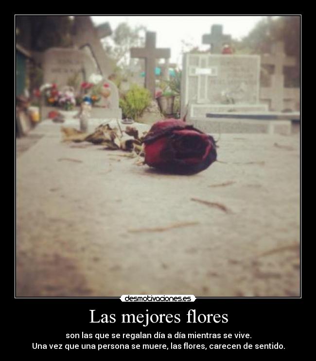Las mejores flores - son las que se regalan día a día mientras se vive.
Una vez que una persona se muere, las flores, carecen de sentido.
