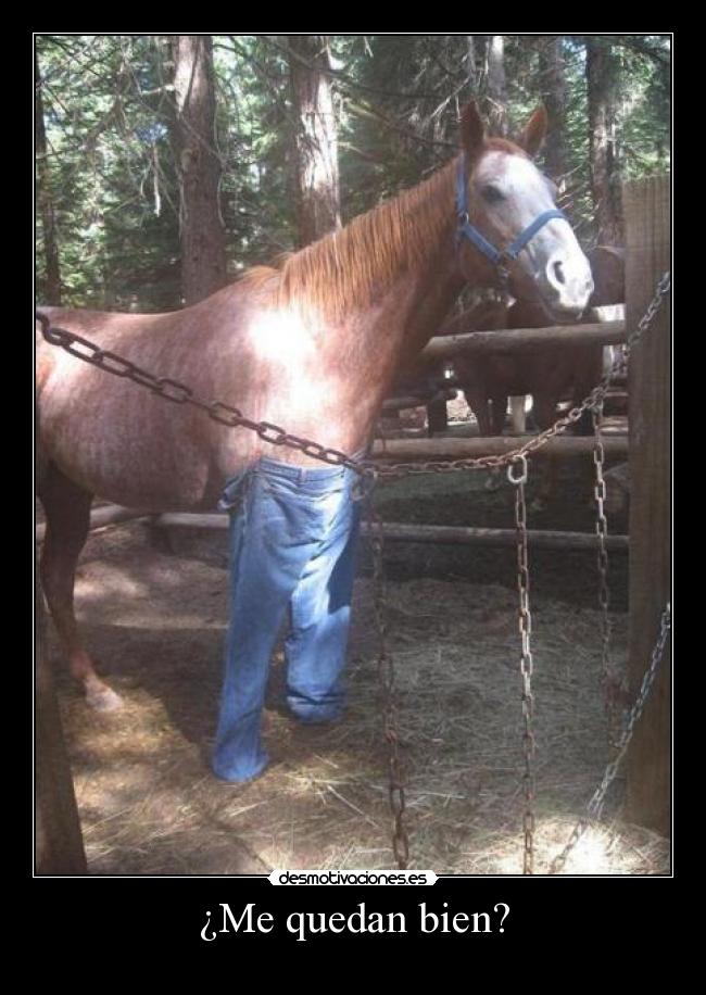 ¿Me quedan bien? - 