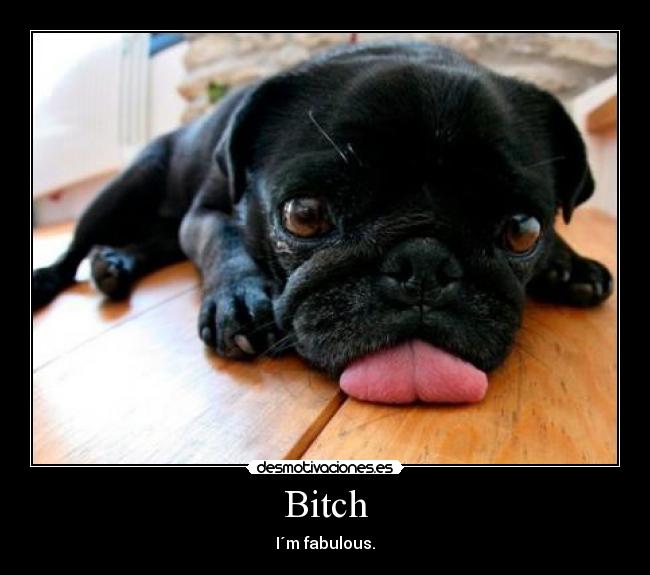 carteles perro fabulous mas mono jajajajaja desmotivaciones