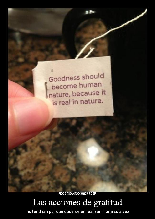 Las acciones de gratitud - no tendrían por qué dudarse en realizar ni una sola vez