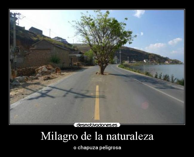 carteles naturaleza curiosidades desmotivaciones