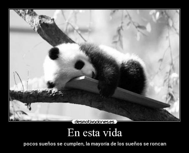 En esta vida - pocos sueños se cumplen, la mayoría de los sueños se roncan