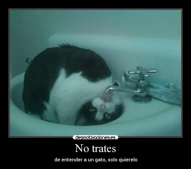 No trates - 