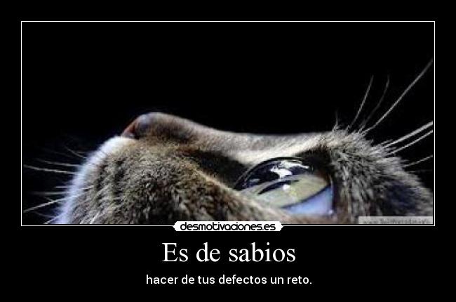 Es de sabios - hacer de tus defectos un reto.