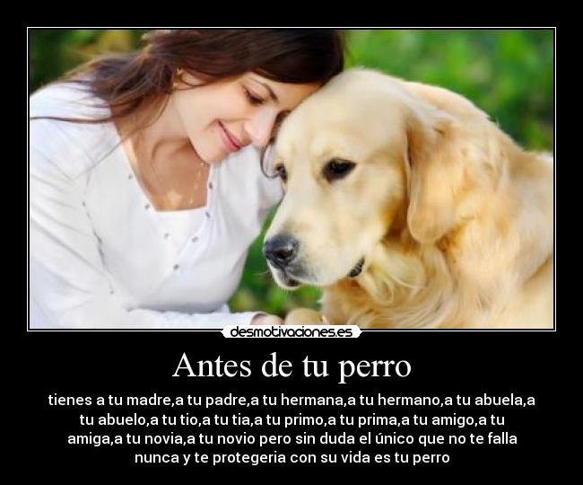 Antes de tu perro -