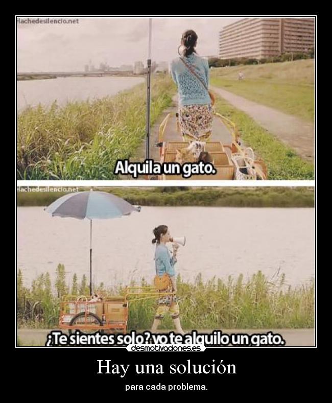 carteles cats quiero servicio asi cuando voy por calle acaricio los pichus gatitos que veo desmotivaciones