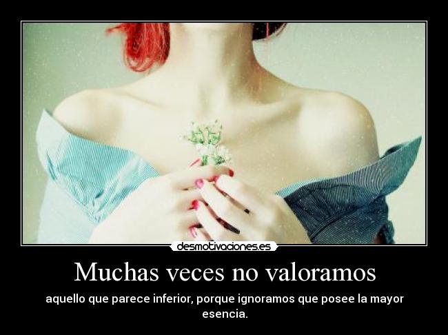 Muchas veces no valoramos - aquello que parece inferior, porque ignoramos que posee la mayor esencia.