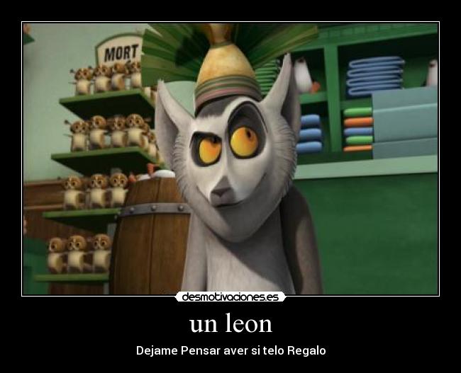un leon - Dejame Pensar aver si telo Regalo