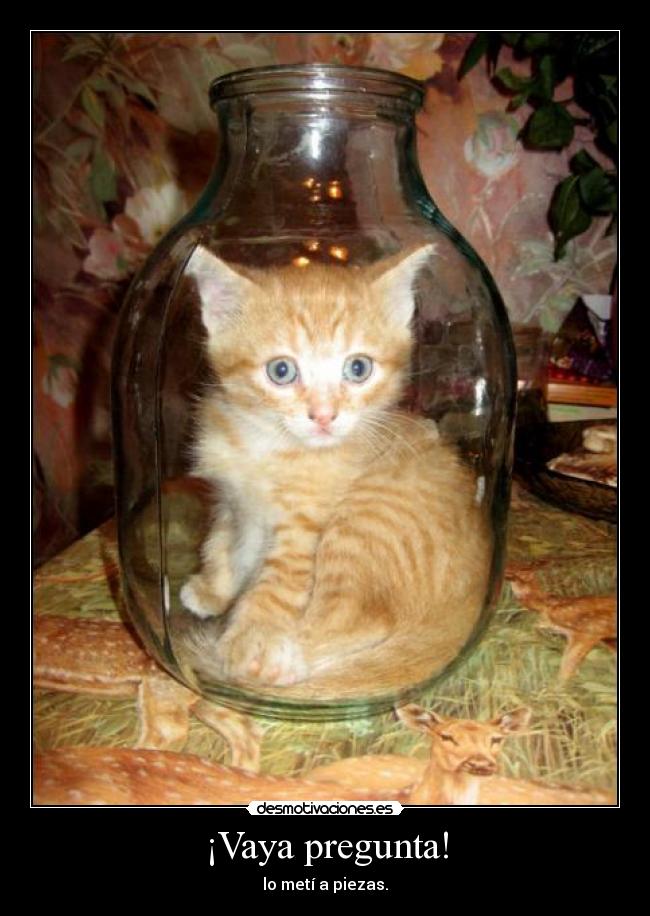 ¡Vaya pregunta! - lo metí a piezas.