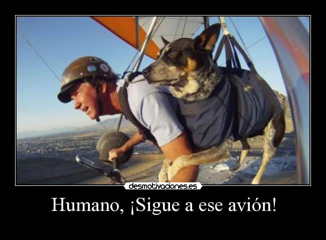 Humano, ¡Sigue a ese avión! -