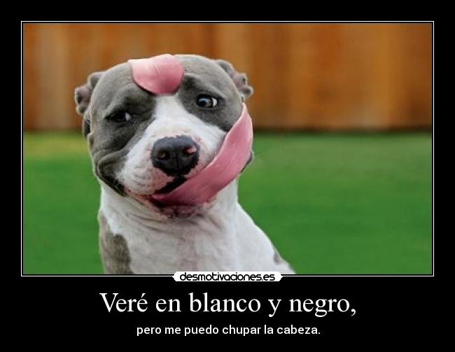 Veré en blanco y negro, - pero me puedo chupar la cabeza.