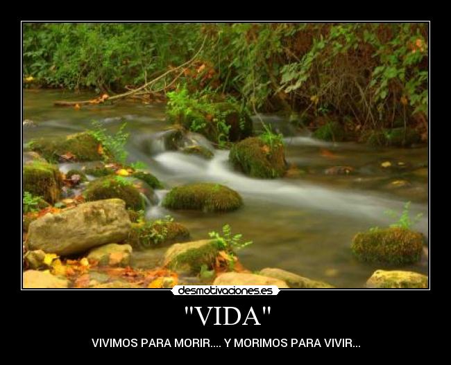 VIDA - VIVIMOS PARA MORIR.... Y MORIMOS PARA VIVIR...
