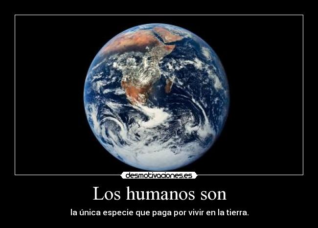 Los humanos son - la única especie que paga por vivir en la tierra.