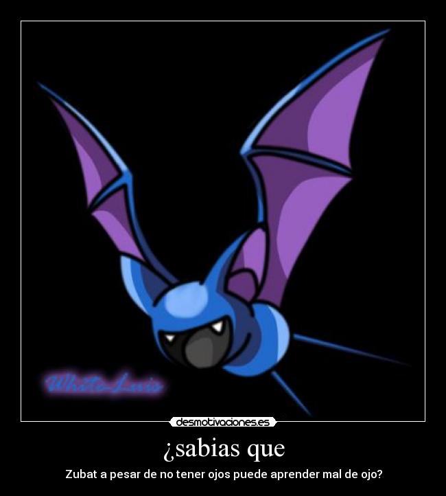 ¿sabias que - Zubat a pesar de no tener ojos puede aprender mal de ojo?