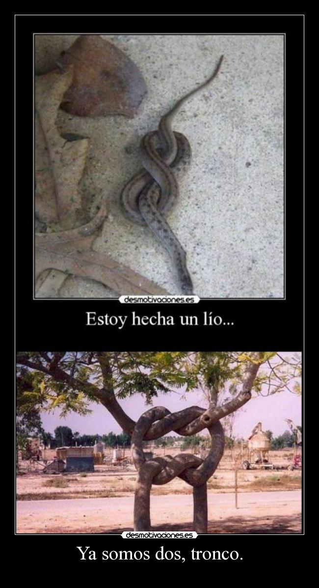 carteles txiara subido por mini fallo desmotivaciones