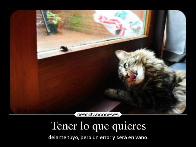 Tener lo que quieres - 