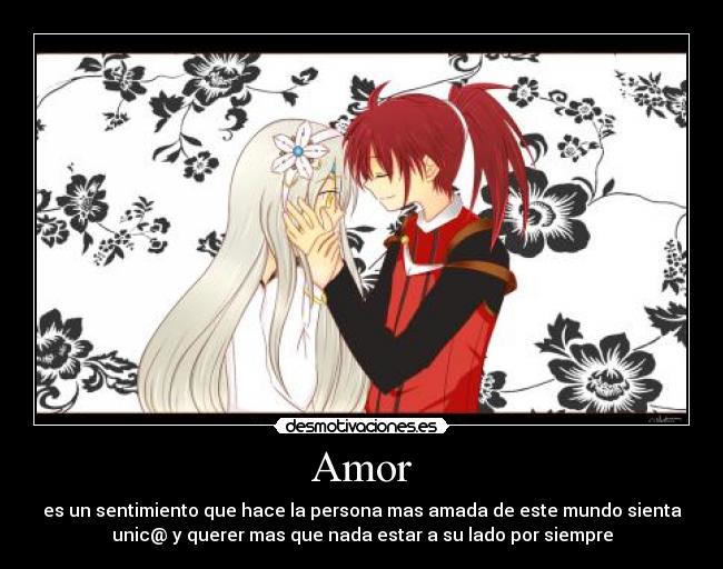 Amor - 