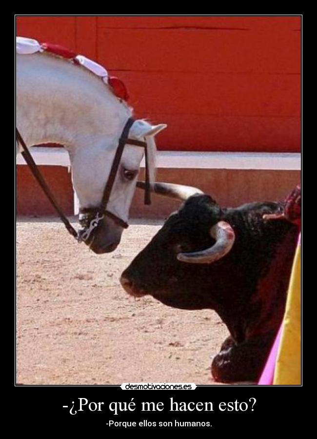 -¿Por qué me hacen esto? - -Porque ellos son humanos.