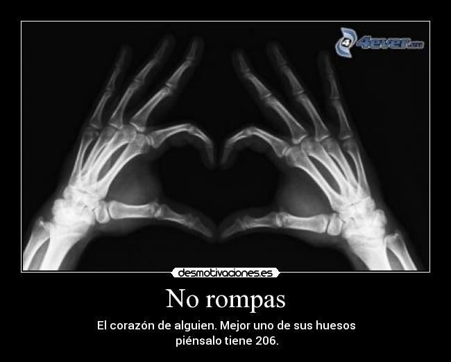 No rompas - El corazón de alguien. Mejor uno de sus huesos
piénsalo tiene 206.