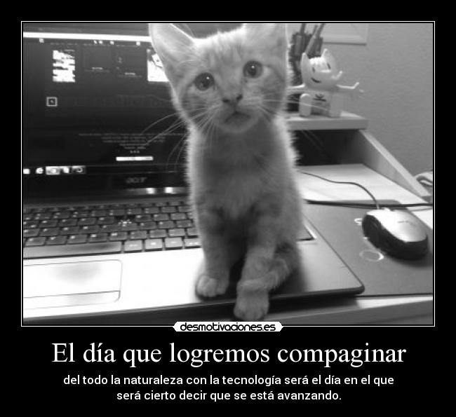 El día que logremos compaginar - 