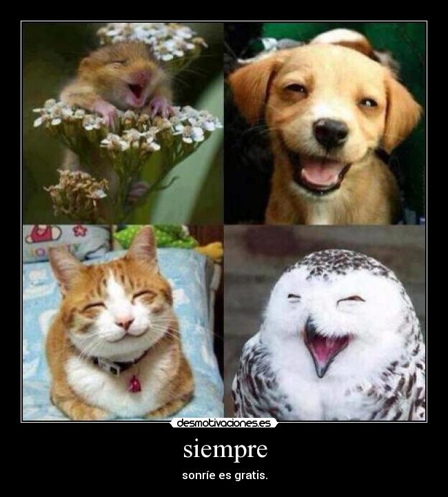 siempre - sonríe es gratis.