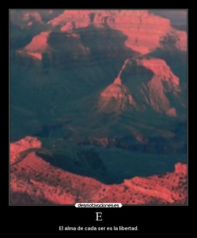 E - El alma de cada ser es la libertad.