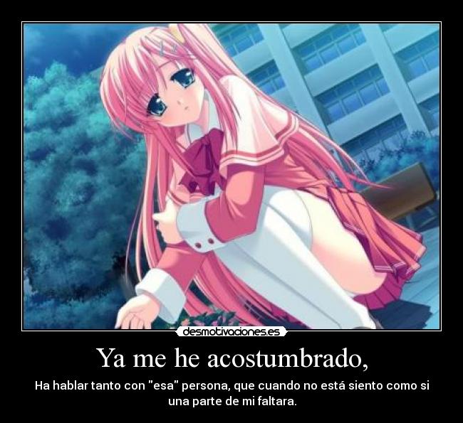 Ya me he acostumbrado, -